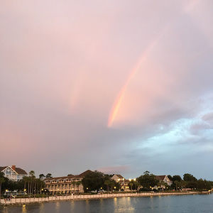 Meet your Posher, Adam